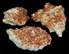 Lot: Quality Vanadinite Crystals on Barite - Pieces #59967-1